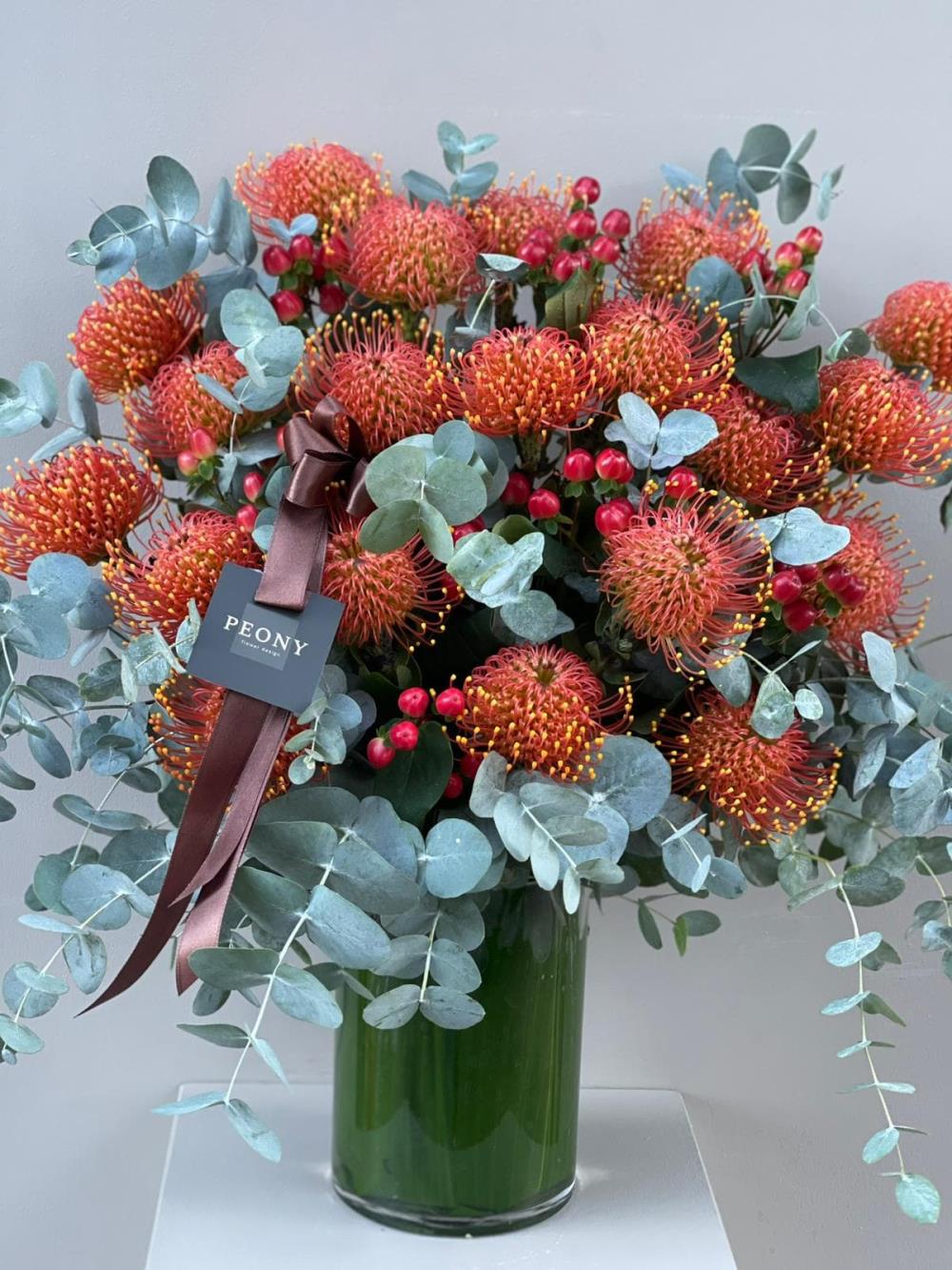 Leucospermum 